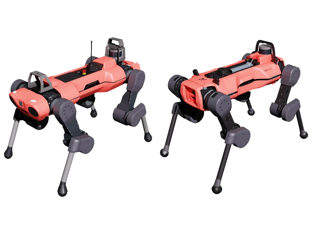 random_anymal_quadruped